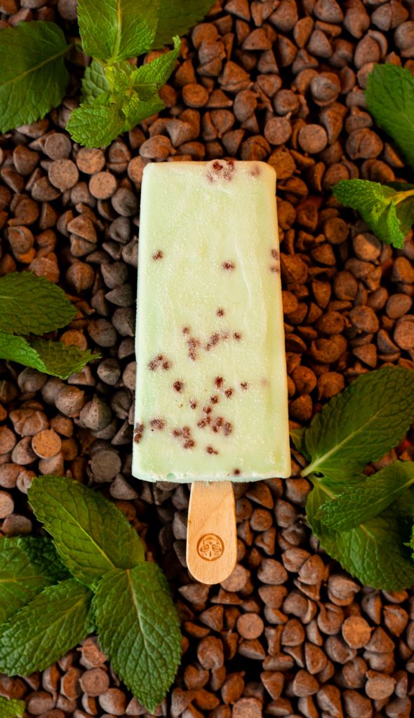 Mint Chocolate Chip Morelia Ice Cream Paletas